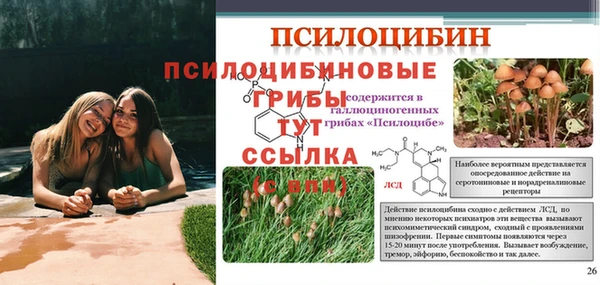 ALPHA-PVP Остров