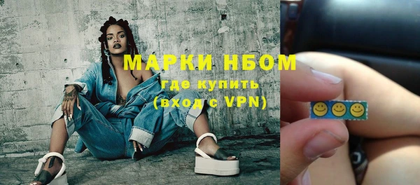 гашик Зеленокумск