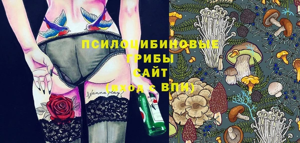 spice Инсар