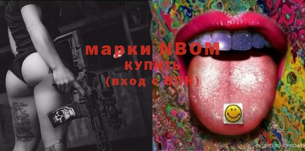гашик Зеленокумск