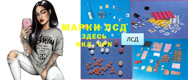 гашик Зеленокумск