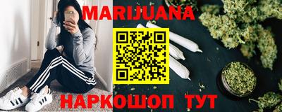 крисы Нальчик