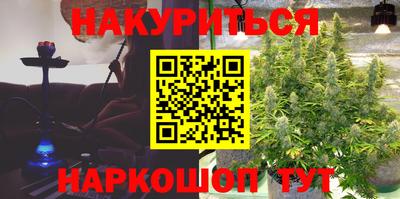 крисы Нальчик