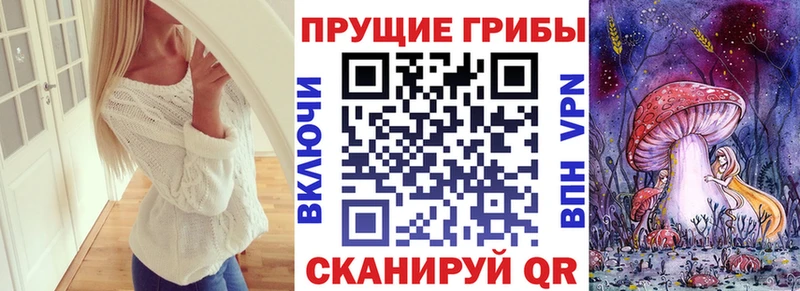 Галлюциногенные грибы GOLDEN TEACHER хочу наркоту Саянск