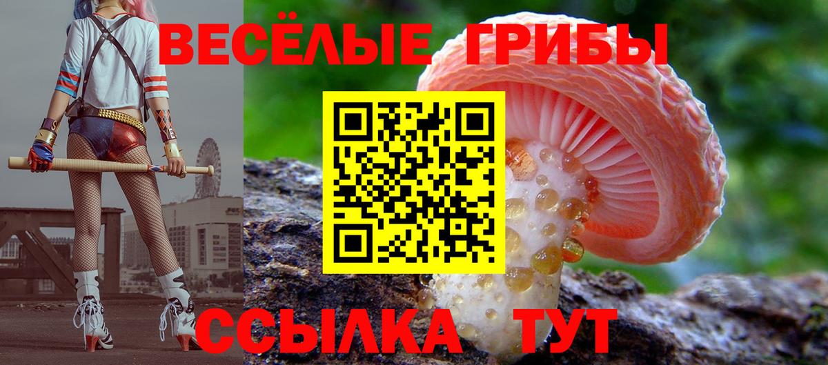 купить  цена  Псилоцибиновые грибы мицелий  Вход с VPN  Галлюциногенные грибы MAGIC MUSHROOMS  Саянск 