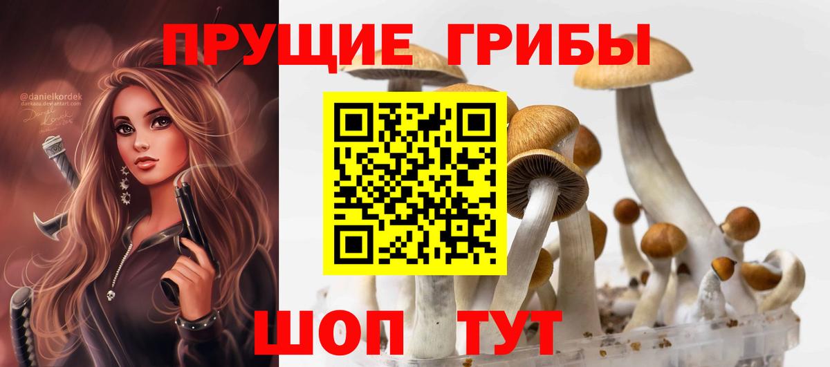 Псилоцибиновые грибы MAGIC MUSHROOMS Саянск